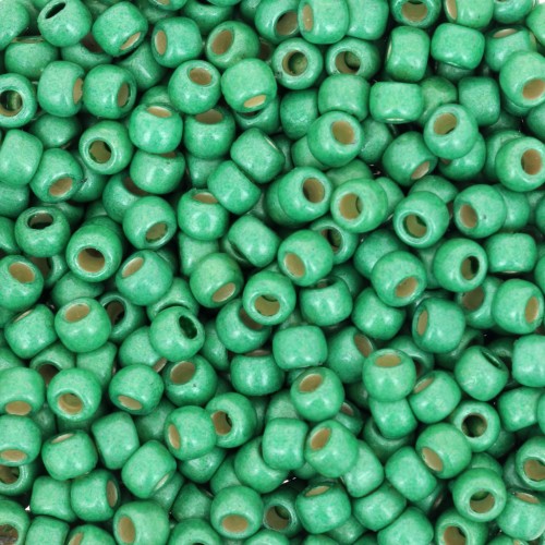 Seed beads Toho 8/0 TO8RPF588F - PF Spring Green Mat Galvanized x8g