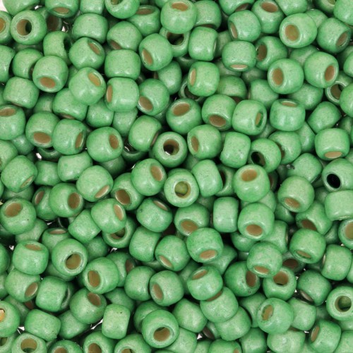 Seed beads Toho 8/0 TO8RPF587F - PF Green Apple Mat Galvanized x8g