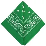 Bandana 100% coton - motif Cachemire - Vert foncé x1