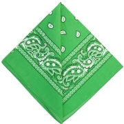 100% Cotton Bandana - Kashmir Pattern - Green x1