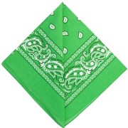 Bandana 100% cotton - Cashmere pattern - Apple green x1