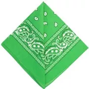Bandana 100% cotton - Cashmere pattern - Apple green x1