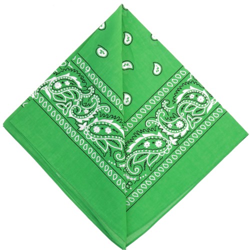 100% Cotton Bandana - Kashmir Pattern - Green x1