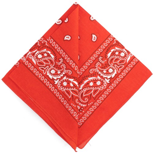 100% Cotton Bandana - Kashmir Pattern - Dark Orange x1