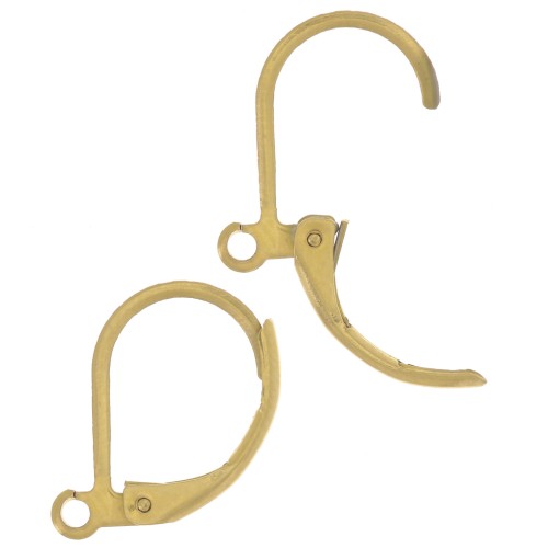 16mm 304L stainless steel leverback earrings - Gold x40