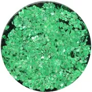 Biodegradable Glitter - Large - Green x10g
