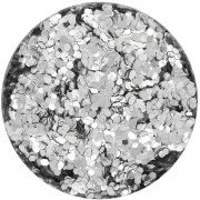 Biodegradable Glitter - Large - Silver x10g