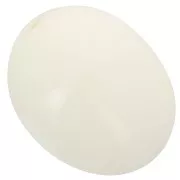 24x19 mm olive bead in opaque resin - Ecru x1