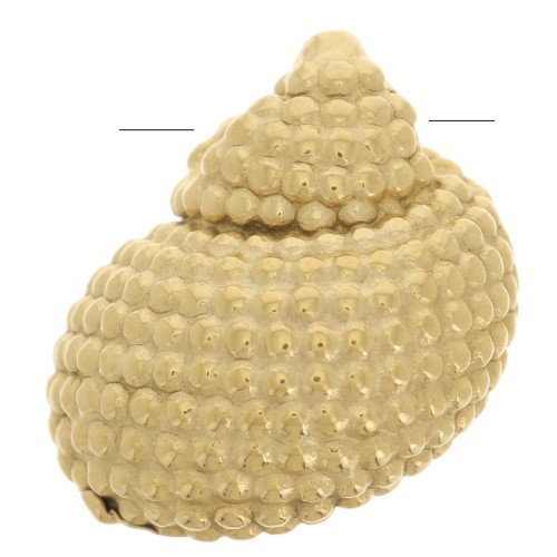 14x12mm Stainless Steel 304L Shell Charm - Gold x1