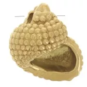 14x12mm Stainless Steel 304L Shell Charm - Gold x1