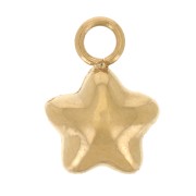 5.5mm 304L Stainless Steel Star Charm - Gold x1