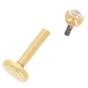 2.5 mm Stainless Steel 316 Round Ear Piercing Zirconium Oxide - Gold x1