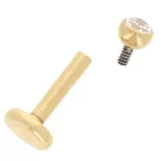 2.5 mm Stainless Steel 316 Round Ear Piercing Zirconium Oxide - Gold x1