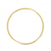 Gold filled Ring 22mm x1