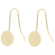 Earrings hooks