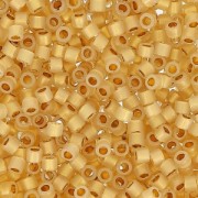 Miyuki Delica Duracoat 11/0 DB2171 - Alabaster Silver Line Dyed Straw x8g