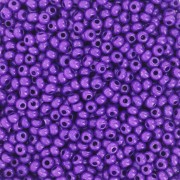 Preciosa Seed Beads 11/0 2 mm - Terra Intensive - Purple x20g
