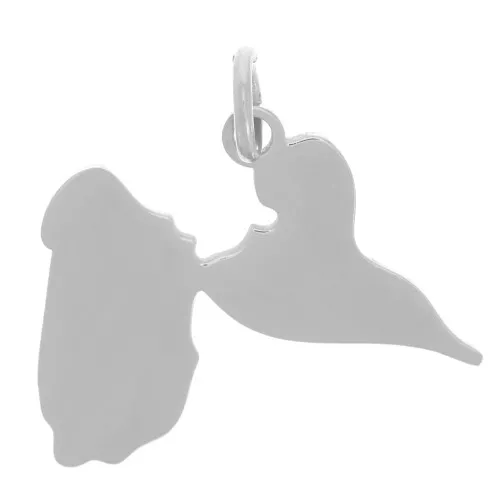 14x19mm 304L stainless steelGuadeloupe pendant x1