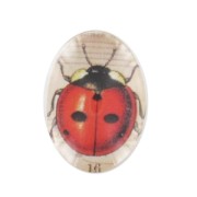 Cabochon 18x13mm ladybug x1|raw }}