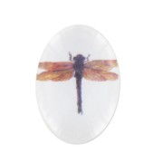 Cabochon 18x13mm Dragonfly x1|raw }}