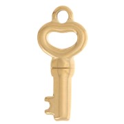 20x9mm 304L stainless steel Heart-shaped key charm - Gold x1