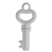 20x9mm 304L stainless steel Heart-shaped key charm x1
