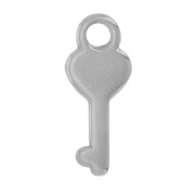 15x6mm Stainless steel 304L Charm key heart shape with zirconium oxide x1