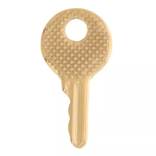 15x8mm Stainless steel 304L textured round key Charm - Gold x1