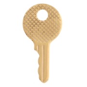 25x12.5mm Stainless steel 304L Round textured key pendant - Gold x1