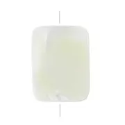 Mother-of pearl irregular Rectangle  15x10 mm Natural x1