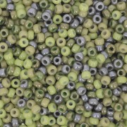 Seed beads Miyuki 11/0 Mix Khaki x8g