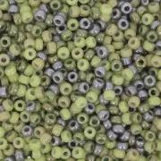 Seed beads Miyuki 11/0 Mix Khaki x8g