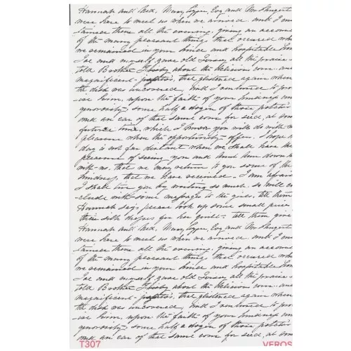 13.5x9cm VeroS transfer sheet - Soluble paper for polymer clay - N°307