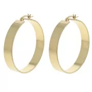 Earring hoops