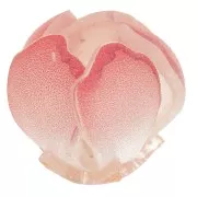 14mm plastic flower bead - Light red x1