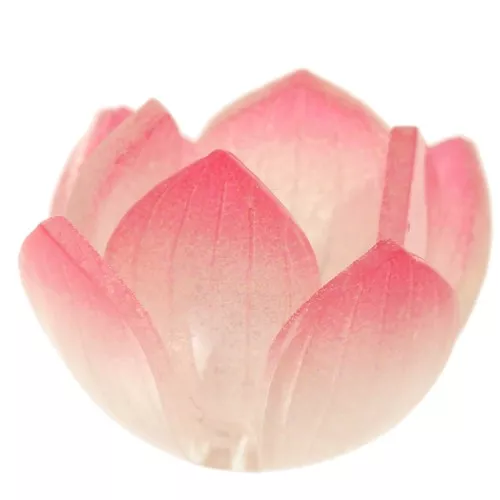 12x21mm Lotus flower bead in acrylic - Dark pink - Light pink x1