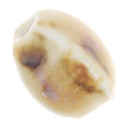 13x9mm Ceramic oval beads - Beige - Ecru marbled x10|raw }}