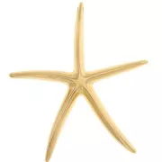 51x46mm Starfish pendant - Fine gold plated x1