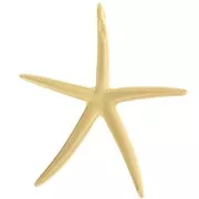 51x46mm Starfish pendant - Fine gold plated x1