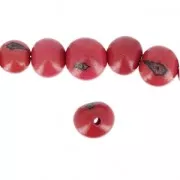 Acai seeds from Brazil 8mm Fuchsia x 10