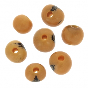 Acai seeds from Brazil 8mm Safran x 10