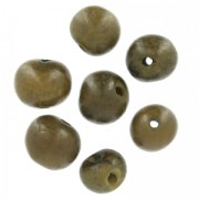 Acai seeds from Brazil 8mm Khaki x 10