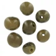 Acai seeds from Brazil 8mm Khaki x 10