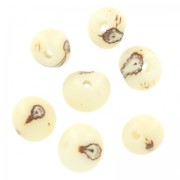 Acai seeds from Brazil 8mm Natural x 10