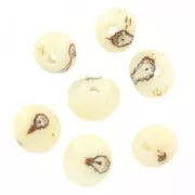 Acai seeds from Brazil 8mm Natural x 10