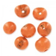 Acai seeds from Brazil 8mm Orange x 10|raw }}