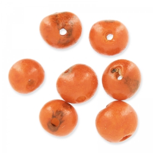 Acai seeds from Brazil 8mm Orange x 10