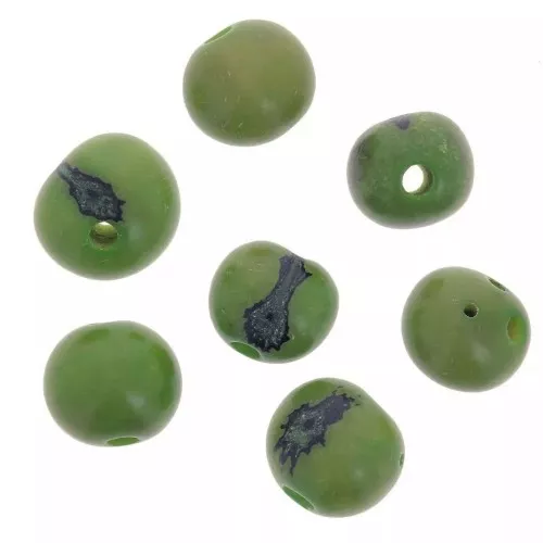 Acai seeds from Brazil 8mm Green x 10