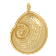 23x17mm Shell pendant - Fine gold plated x1
