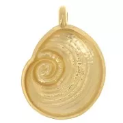 23x17mm Shell pendant - Fine gold plated x1